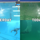 Illustration for article titled Something Unfortunate Has Happened In The Olympic Diving Venue